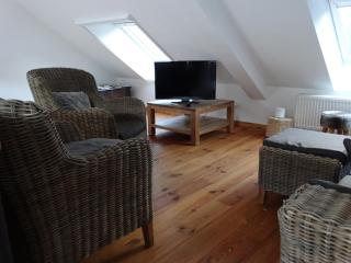 Au logis de Cadichon - Saint-Hubert - 3