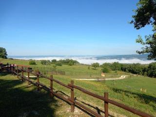 Scappo in Umbria, Le Salce - Civitella Del Lago - 7