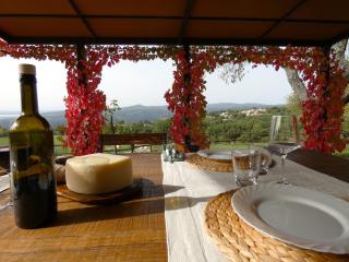 Scappo in Umbria, Le Salce - Civitella Del Lago - 3