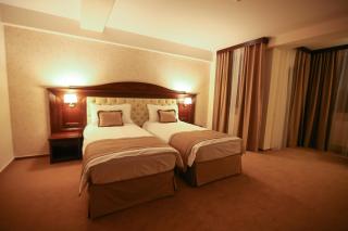 Hotel Carmen - Predeal - 8