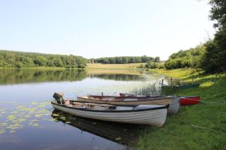 Seaside Cottage Perfect For Familiy, Golfing & Fishing - Milltown - 4
