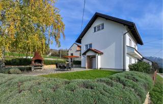 Amazing Home In Petrova Gora With Sauna - Vujci - 0