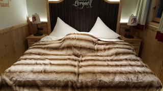 Luxus Chalet Bischofer- Bergwelt - 7