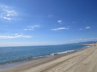 Deux pièce vue Mer et Port 4PP2B32 - Le Barcarès - 2