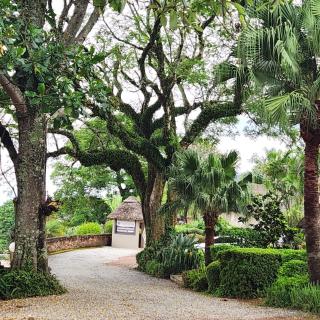 Magoebaskloof Mountain Lodge - Tzaneen - 9