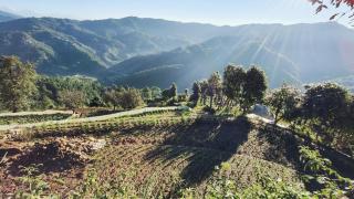 Snovika ( The Organic Farms ) - Bhīm Tāl - 7