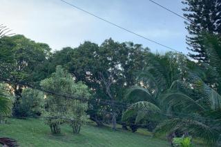 Montego Bay Hillside Retreat - 3