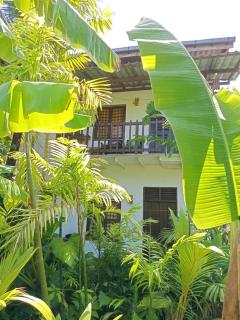 Placid Beach - Weligama - 5