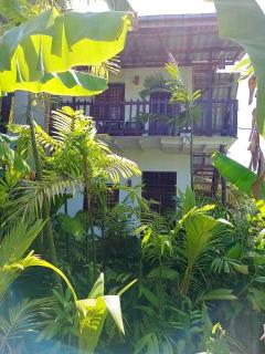 Placid Beach - Weligama - 3