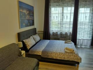 Nice Apartments Prague - Prag - 9