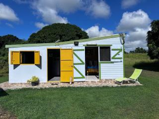 Sous le manguier - 2