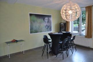 House with Sauna near center - 200 m² - La-Roche-en-Ardenne - 4