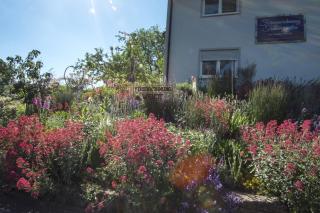 Ferienwohung Traumgarten - Obereisenheim - 1