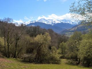 Le Perchoir des Pyrénées - Gerde - 0