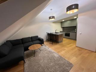 Tartu Deluxe Apartments Pargi 10 - Tartu - 4