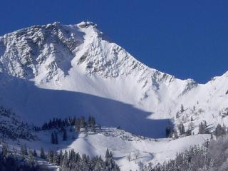 Gasthaus Aiplspitz - Bayrischzell - 6