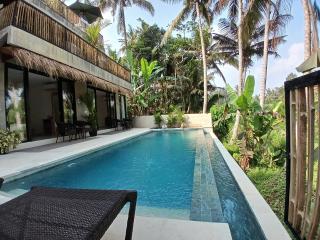Bali View Ubud Hotel - Ubud - 5