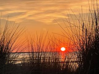 Appartementhaus Zingst 1 - Urlaub zwischen Meer & Bodden - Zingst - 4
