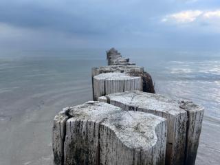 Appartementhaus Zingst 5 - Urlaub zwischen Meer & Bodden - Zingst - 1