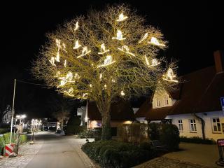 Appartementhaus Zingst 2 - Urlaub zwischen Meer & Bodden - Zingst - 2