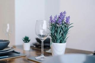 Lovely and Spacious 3BR Apartment - 1