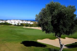 Noctua valle romano golf 015 - Estepona - 9