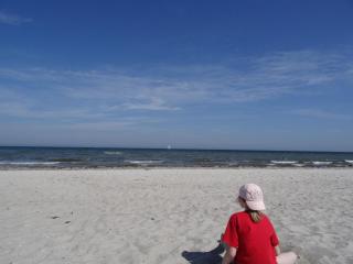 Urlaub am Meer im Ferienhaus mit Sauna - Maasholm - 4