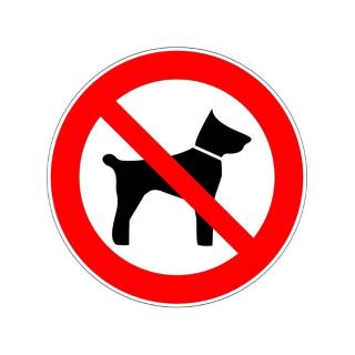 Accès direct plage pour ce superbe T2 moderne et fonctionnel - 6FR325 - 8