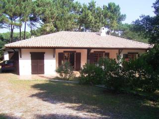 Villa CapFerret sous les pins,bassin et océan à pied - Lège-Cap-Ferret - 0