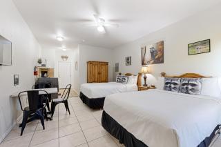 Wasser Lodge #204 - Raccon Room - New Braunfels - 9