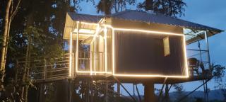Coffee Camp Home Stay with Tree house - Kattappana - 6