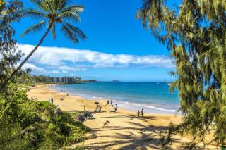 Kamaole Beach Royale 302 - 9