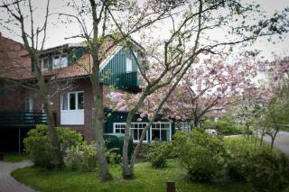 Ferienhaus Nils Holgersson - Wohnung 4 - Spiekeroog - 7