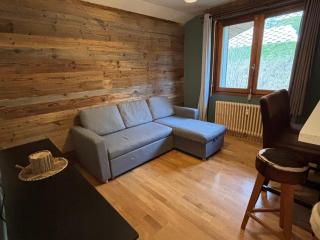 Charmant appartement moderne à La Chapelle-d'Abondance, 1 chambre, 4 pers, parking, non fumeur - FR-1-692-77 - La Chapelle-dʼAbondance - 6