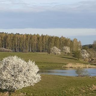 Marcinowa Zagroda - Nowe Kawkowo - 8