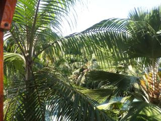 Hillside Retreat - Baie Lazare Mahé - 1