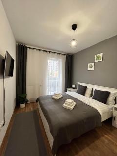 LEAF Studio - Brasov - 3