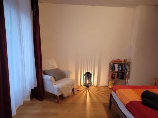 Cosy & central, lovely terrace over river & park - Zurigo - 6