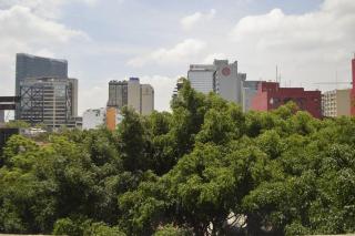 Zona Rosa Apartment Angel of Independence 1 Block in CDMX - 6
