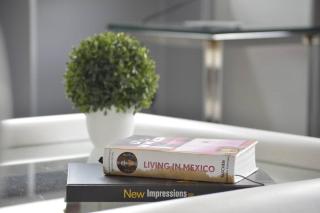 Zona Rosa Apartment Angel of Independence 1 Block in CDMX - 4