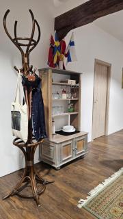 Pašić Apartman - Novi Sad - 3