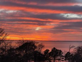 Sound Dreams - Duck - 9