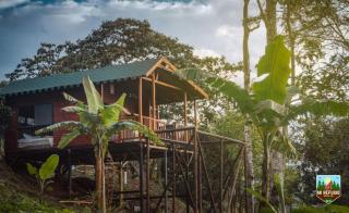 Glamping la Joyita - 8