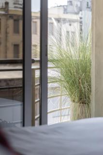 Dorrego Premium - 8