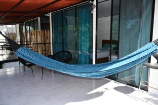 Minca Seasons Birds - Minca - 4