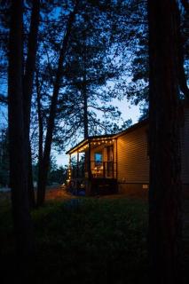 Peaceful Pine Place Cabin - Pine - 2
