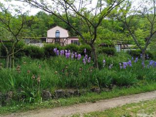 Gîte de Lamourade - Saint-Ferriol - 8