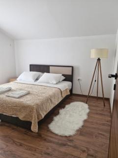 Knežević apartman - Podgorica - 1