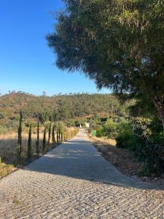 Appartement Berbigão - 1