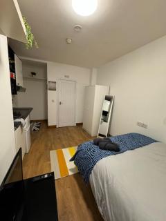 Central Earls Court Studio Flat - Londen - 6